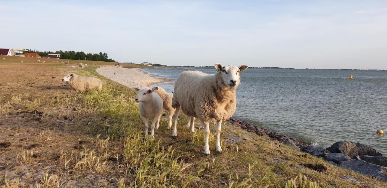 Vakantiehuis Uus Klinte Hindeloopen Esterno foto